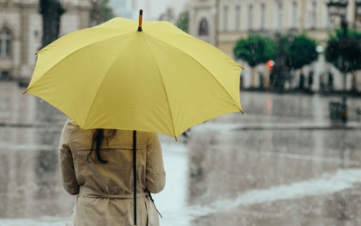 How to Protect your Portfolio Through Life’s Ups and Downs